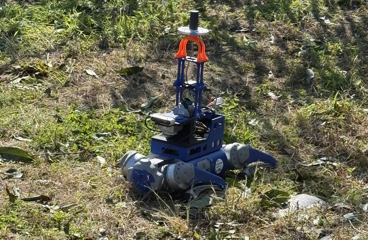 Our quadruped with its sensor unit at the orchard test site.